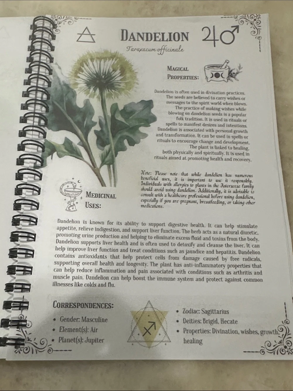 Self-Healing & Natural Herbal Remedies Spiral Journal - Brown/Copper Cover
